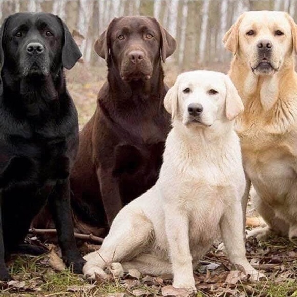 Meet your Posher, Katja - Picture 1 of 1